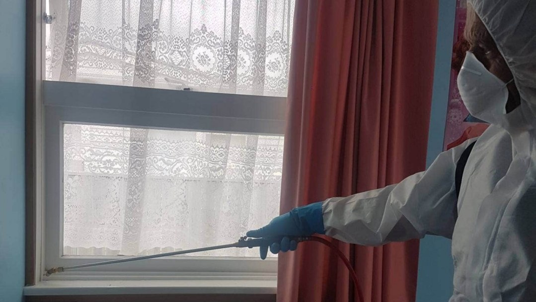 Influx of creepy crawlies to Wellington over summer - 'it was raining spiders'