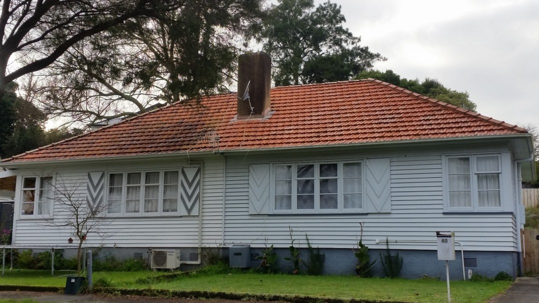 Why I should get a moss & mould roof treatment done very 2 years