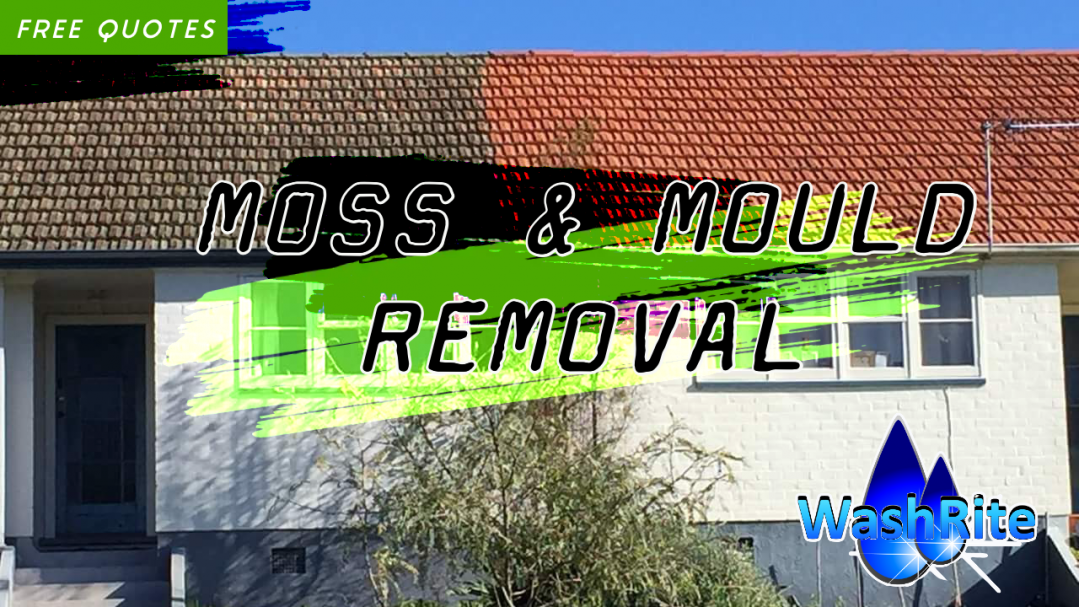 Remove Moss From Your Roof.