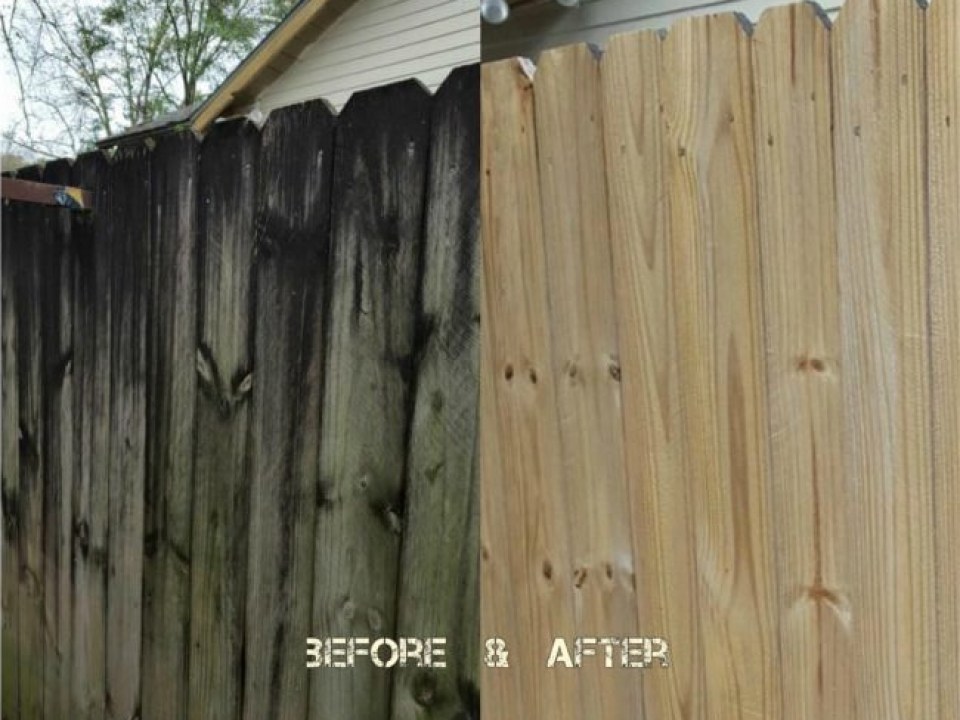 Deck and Fence Cleaning