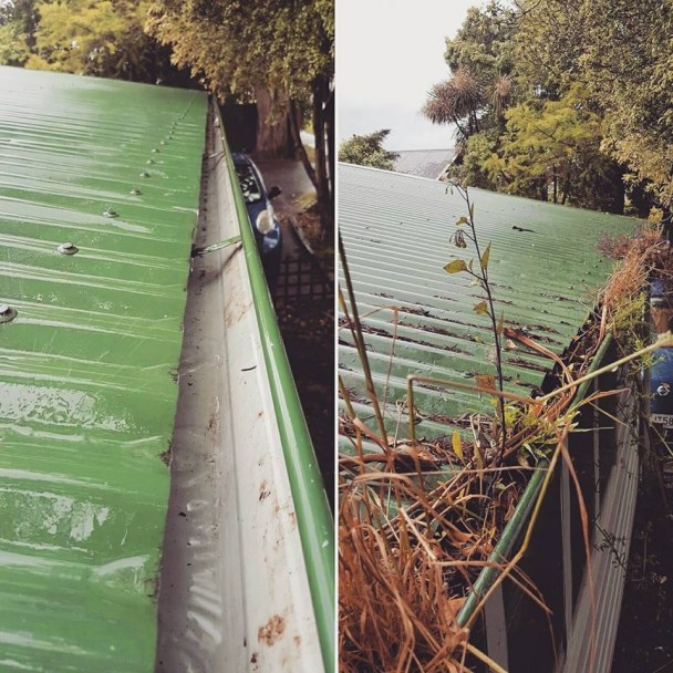 The Ultimate Gutter Cleaning Guide: Protecting Your Home and Wallet