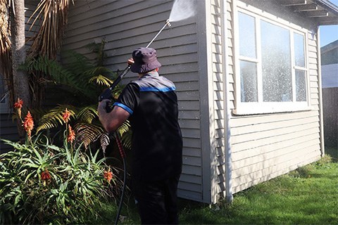 Why you should wash your house.