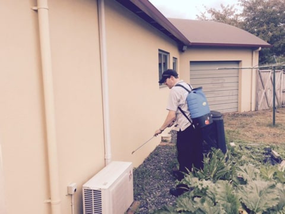 Pest and Insect Control