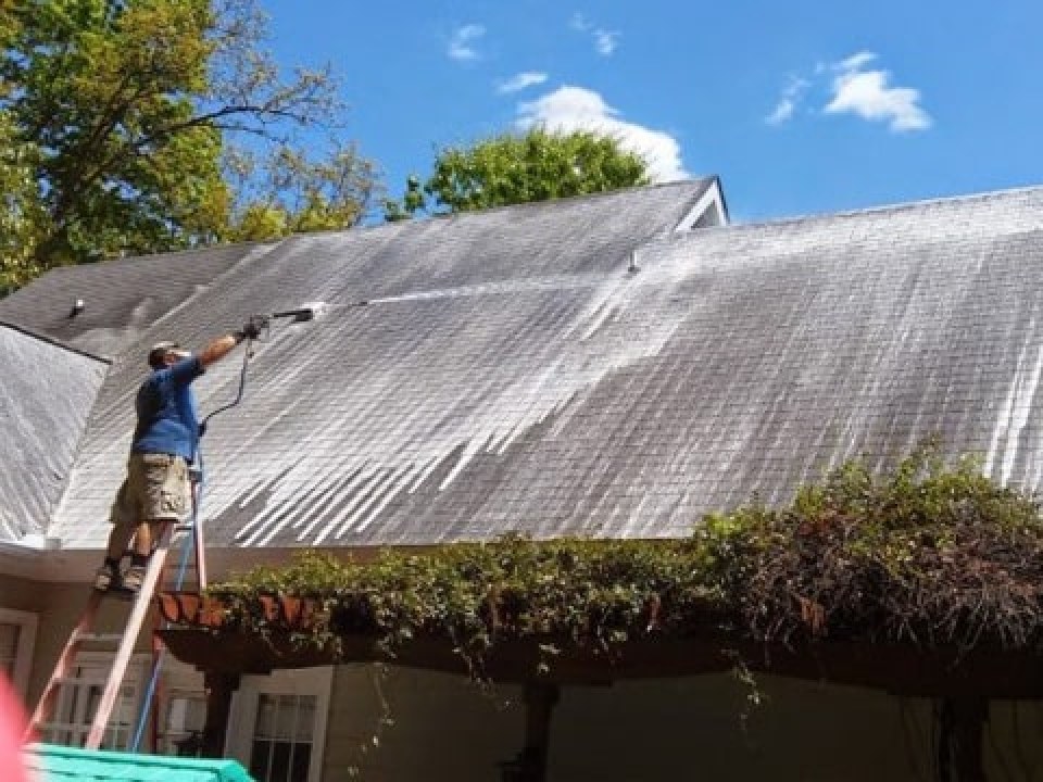 Roof Wash - Moss and Mould Treatment