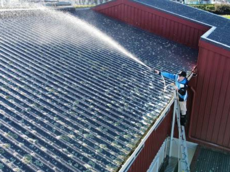 Roof Maintenance 101: How Wash Rite Can Extend the Lifespan of Your Roof