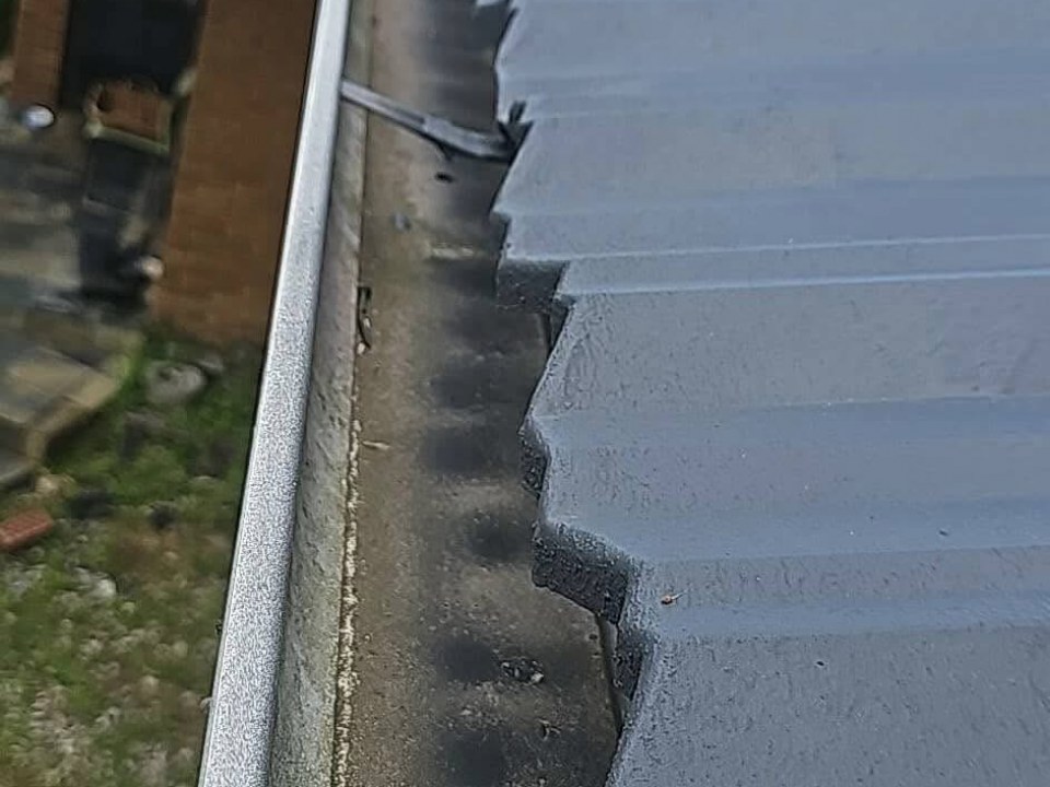 Rotorua & Taupo img1