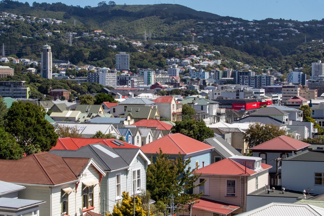 The Ultimate Guide to Roof Cleaning in Wellington’s Suburbs: Protecting Your Home and Investment