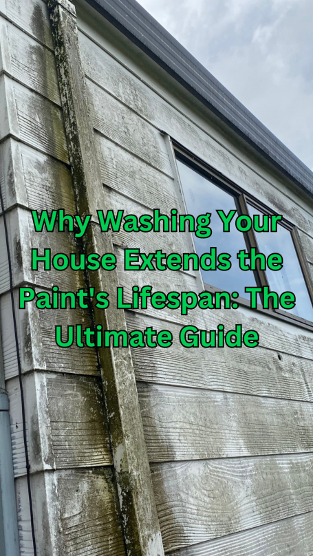 Why Washing Your House Extends the Paint's Lifespan: The Ultimate Guide