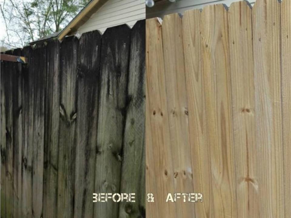 Deck and Fence Cleaning